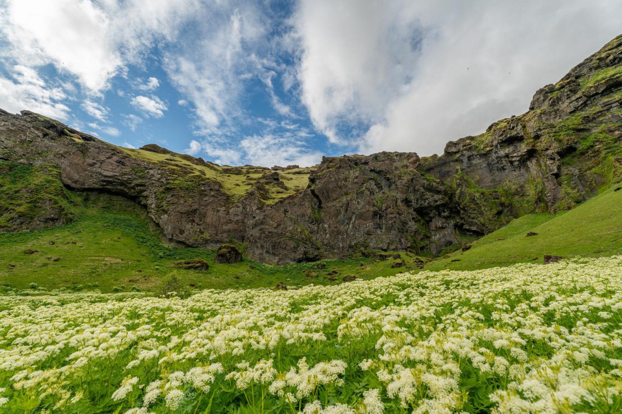 The Drangshlid By Ourhotels Skogar (South Iceland)